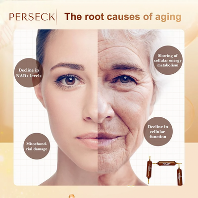 NAD + advanced cellular renewal